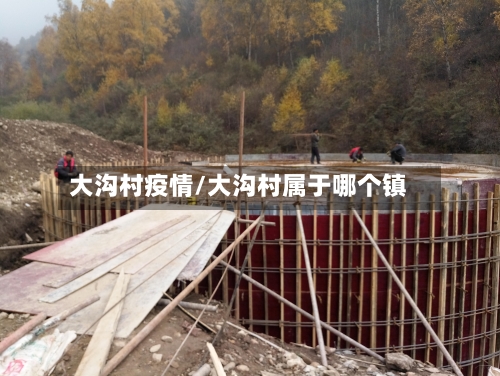 大沟村疫情/大沟村属于哪个镇-第1张图片