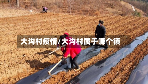 大沟村疫情/大沟村属于哪个镇-第3张图片