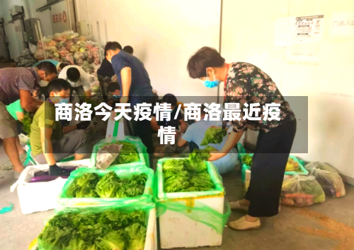 商洛今天疫情/商洛最近疫情-第1张图片