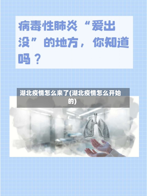 湖北疫情怎么来了(湖北疫情怎么开始的)-第2张图片