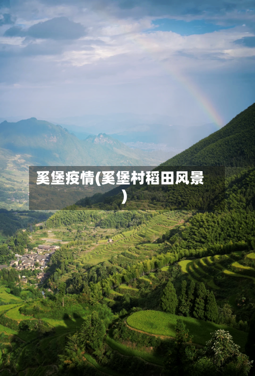 奚堡疫情(奚堡村稻田风景)-第2张图片