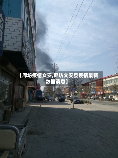 【廊坊疫情文安,廊坊文安县疫情最新数据消息】-第3张图片