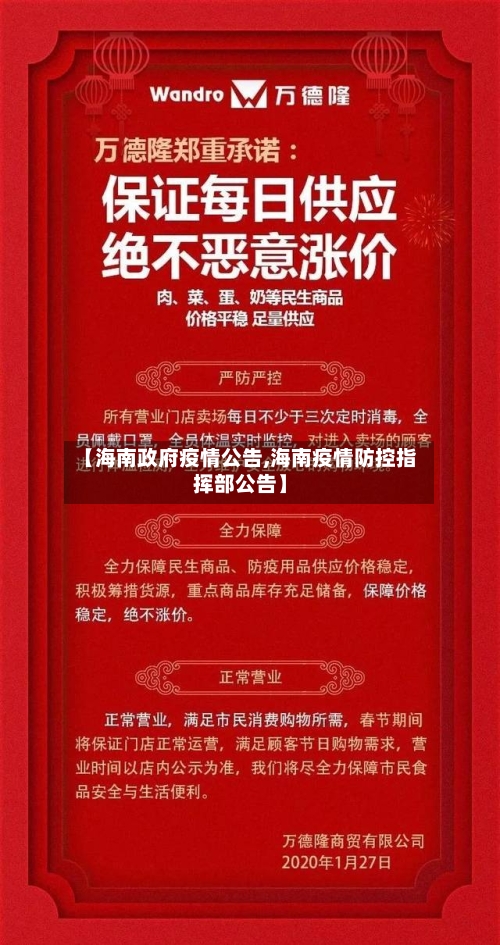 【海南政府疫情公告,海南疫情防控指挥部公告】-第2张图片