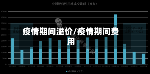 疫情期间溢价/疫情期间费用-第1张图片