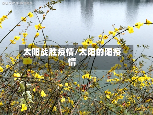 太阳战胜疫情/太阳的阳疫情-第3张图片