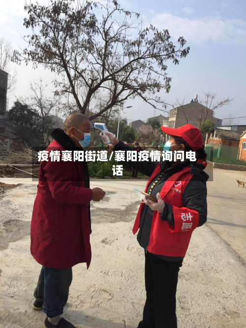 疫情襄阳街道/襄阳疫情询问电话-第3张图片